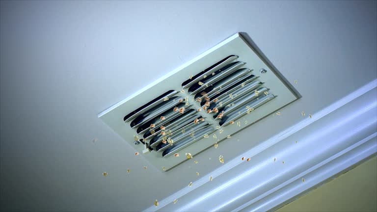 Ductwork Cleaning Services in NM